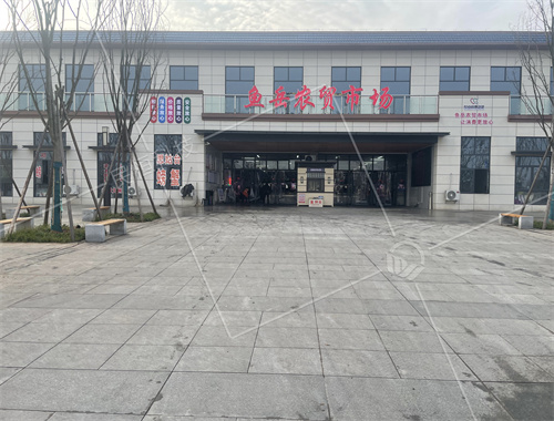 咸寧嘉魚縣魚岳智慧市場
